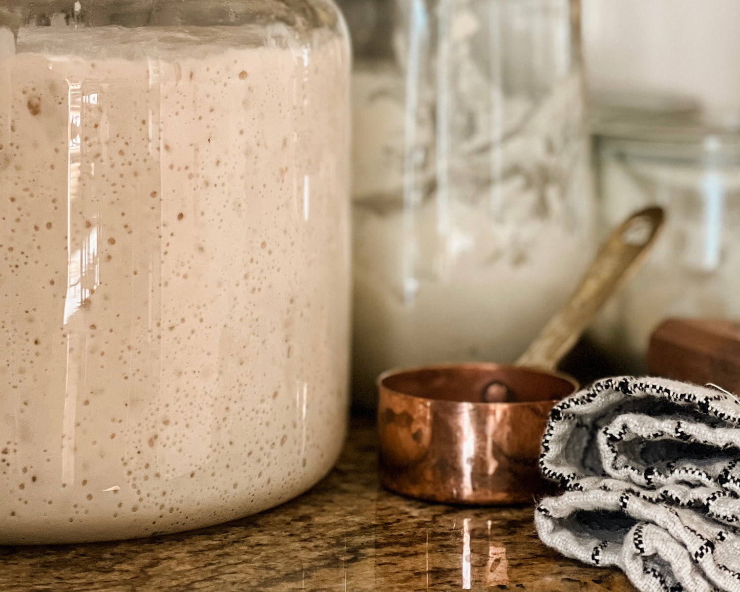 Organic Sourdough Starter Packet